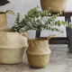 Three-Pack (XL, XXL, XXXL) Seagrass Planter Baskets | $25 | Amazon